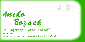 aniko bozsek business card